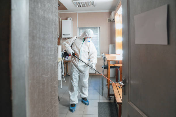 Best Industrial Mold Remediation  in Morrisville, NY