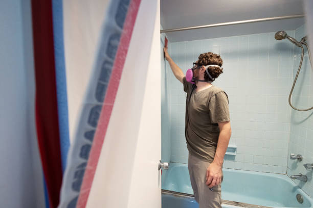 Reliable Morrisville, NY Mold Removal Solutions